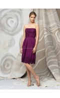 Natural Strapless Draped/Ruffles Sleeveless A-line Bridesmaid Dress