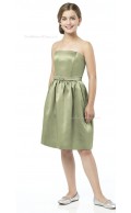 Spaghetti Sage Strapless Straps A-line Junior Bridesmaid Dresses