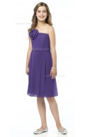 Spaghetti Chiffon A-line Straps Grape Junior Bridesmaid Dresses