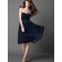 Knee-length Bateau Zipper Chiffon Flowers Dark Navy A-line Empire Sleeveless Bridesmaid Dress