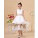 A line Ankle Length Sleeveless Satin/Lace Scoop Sash/Bow/Lace White/Champagne Zipper Flower Girl Dress