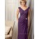 Lilac Column / Sheath V-neck Lace Zipper Cap Sleeve Natural Chiffon Floor-length Mother of the Bride Dress