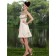 Champagne A-line Empire Short-length Spaghetti Straps Satin Bridesmaid Dress