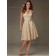 Budget Stunning Champagne Belt Short-length Lace Bridesmaid Dresses