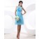 Zipper Chiffon V-neck Knee-length Sleeveless Blue A-line Natural Ruffles/Flowers Bridesmaid Dress